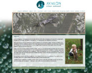 Avalon river retreat
